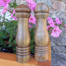 Załaduj obraz do przeglądarki galerii, Młynki do soli i pieprzu, orzech, 22,5 cm - ciemny i jasny