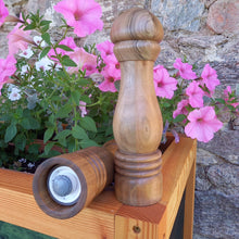 Załaduj obraz do przeglądarki galerii, Młynki do soli i pieprzu, orzech, 22,5 cm - ciemny i jasny