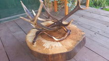 Załaduj obraz do przeglądarki galerii, Myśliwski stolik kawowy, z drewna, na porożu jelenia