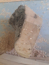 Lade das Bild in den Galerie-Viewer, Blank śliwy fi 290x140, 043
