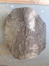 Lade das Bild in den Galerie-Viewer, Blank brzozy fi 300x110, 039
