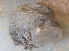 Lade das Bild in den Galerie-Viewer, Blank śliwy fi 290x140, 043
