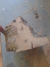 Lade das Bild in den Galerie-Viewer, Blank śliwy fi 290x140, 043
