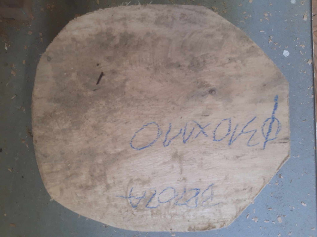 Drewno brzozy fi 310x110, 040
