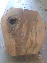 Lade das Bild in den Galerie-Viewer, Blank śliwy fi 290x140, 043
