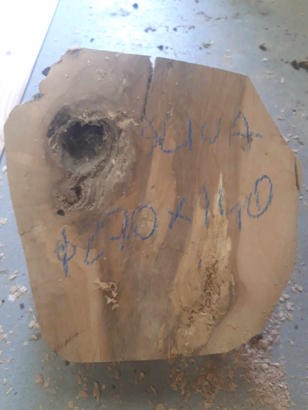 Blank śliwy fi 290x140, 043