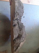 Lade das Bild in den Galerie-Viewer, Blank czeczoty brzozowej fi 300-450x70, 041
