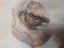 Lade das Bild in den Galerie-Viewer, Blank drewna buku spalted fi 270x80mm, 058
