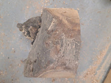 Lade das Bild in den Galerie-Viewer, Blank drewna jabłoni do toczenia fi 210x130x100mm, 053

