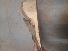 Load image into Gallery viewer, Blank drewna buku spalted fi 260x10-60mm, 057

