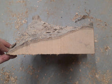 Załaduj obraz do przeglądarki galerii, Blank drewna jabłoni do toczenia fi 310x50-150mm, 054

