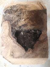 Lade das Bild in den Galerie-Viewer, Blank drewna buku spalted fi 200x70mm, 062
