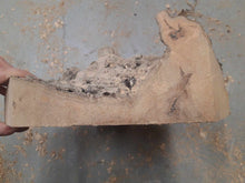 Załaduj obraz do przeglądarki galerii, Blank drewna jabłoni do toczenia fi 310x50-150mm, 054
