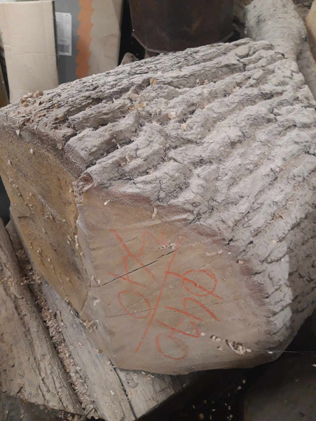 Blank drewna dębu fi 470x340mm, 052