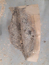 Lade das Bild in den Galerie-Viewer, Blank drewna jabłoni do toczenia fi 310x50-150mm, 055
