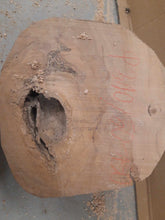 Lade das Bild in den Galerie-Viewer, Blank drewna jabłoni do toczenia fi 310x50-150mm, 055

