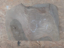 Lade das Bild in den Galerie-Viewer, blank orzecha europejskiego do toczenia 300x180x40mm, 075
