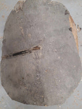 Lade das Bild in den Galerie-Viewer, Blank drewna buku fi 230x180mm, 061

