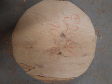 Load image into Gallery viewer, Blank drewna buku spalted fi 260x10-60mm, 057
