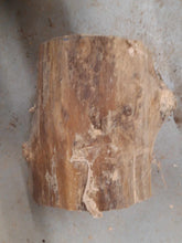 Lade das Bild in den Galerie-Viewer, blank robini akacjowej fi 210/190mm, 071
