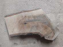 Lade das Bild in den Galerie-Viewer, blank orzecha europejskiego do toczenia 230x130x50mm, 087
