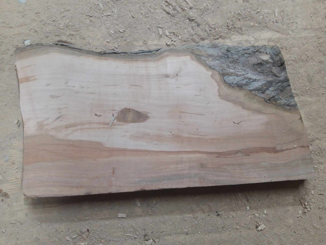 blank jabłoni dla lutników 330x170x25mm, 090