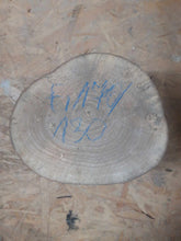 Lade das Bild in den Galerie-Viewer, blank orzecha europejskiego do toczenia fi 170/130mm, 081

