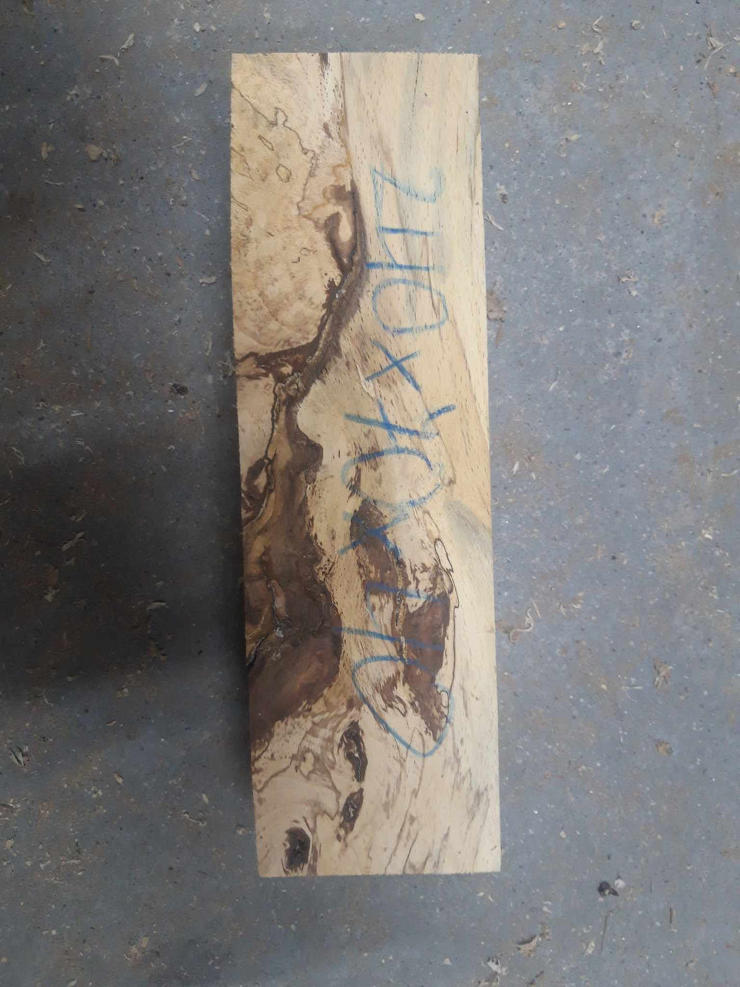 blank drewna buku spalted 240x70x40mm, 101