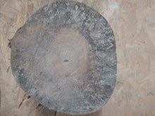 Lade das Bild in den Galerie-Viewer, blank orzecha europejskiego do toczenia fi 170/130mm, 081

