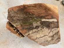Load image into Gallery viewer, blank śliwy do toczenia 270x210x85-200mm, 063
