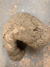 Lade das Bild in den Galerie-Viewer, Blank czeczoty bukowej fi 300x160, 050
