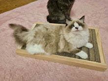 Załaduj obraz do przeglądarki galerii, Drapak dla kota
