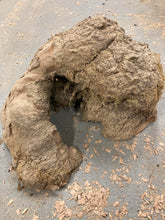 Lade das Bild in den Galerie-Viewer, Blank czeczoty bukowej fi 300x160, 050
