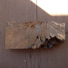 Lade das Bild in den Galerie-Viewer, Gedämpfte Buche (Holz) 290x135x45 mm, Holz zum Stabilisieren und Drechseln 04062021
