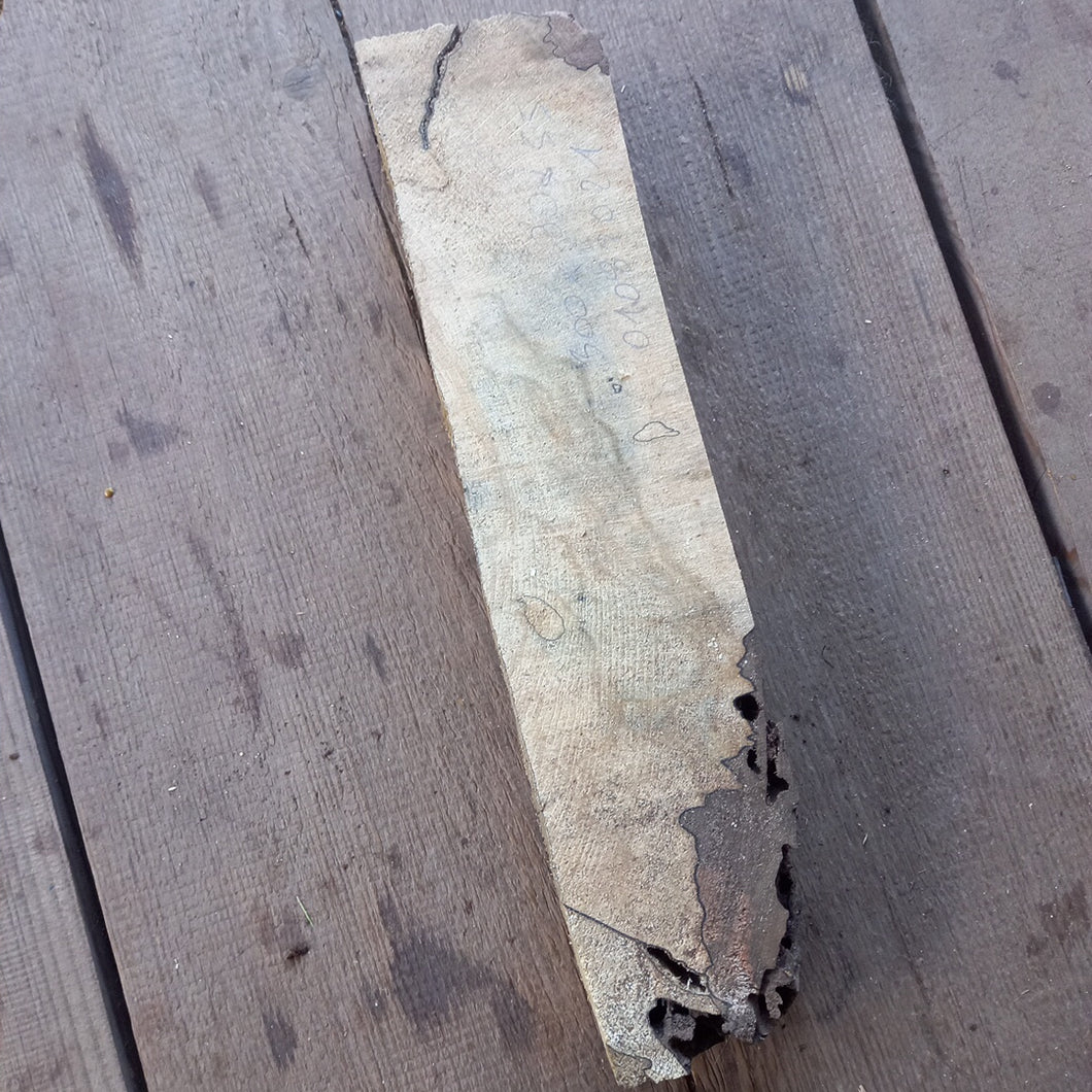 Steamed beech (jigsaw) 300x80x55 mm, wood for stabilization and turning 01082021