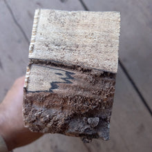 Load image into Gallery viewer, Steamed beech (jigsaw) 300x80x55 mm, wood for stabilization and turning 01082021
