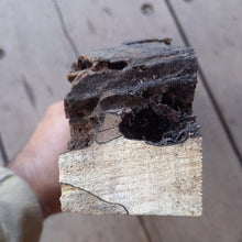 Load image into Gallery viewer, Steamed beech (jigsaw) 300x80x55 mm, wood for stabilization and turning 01082021
