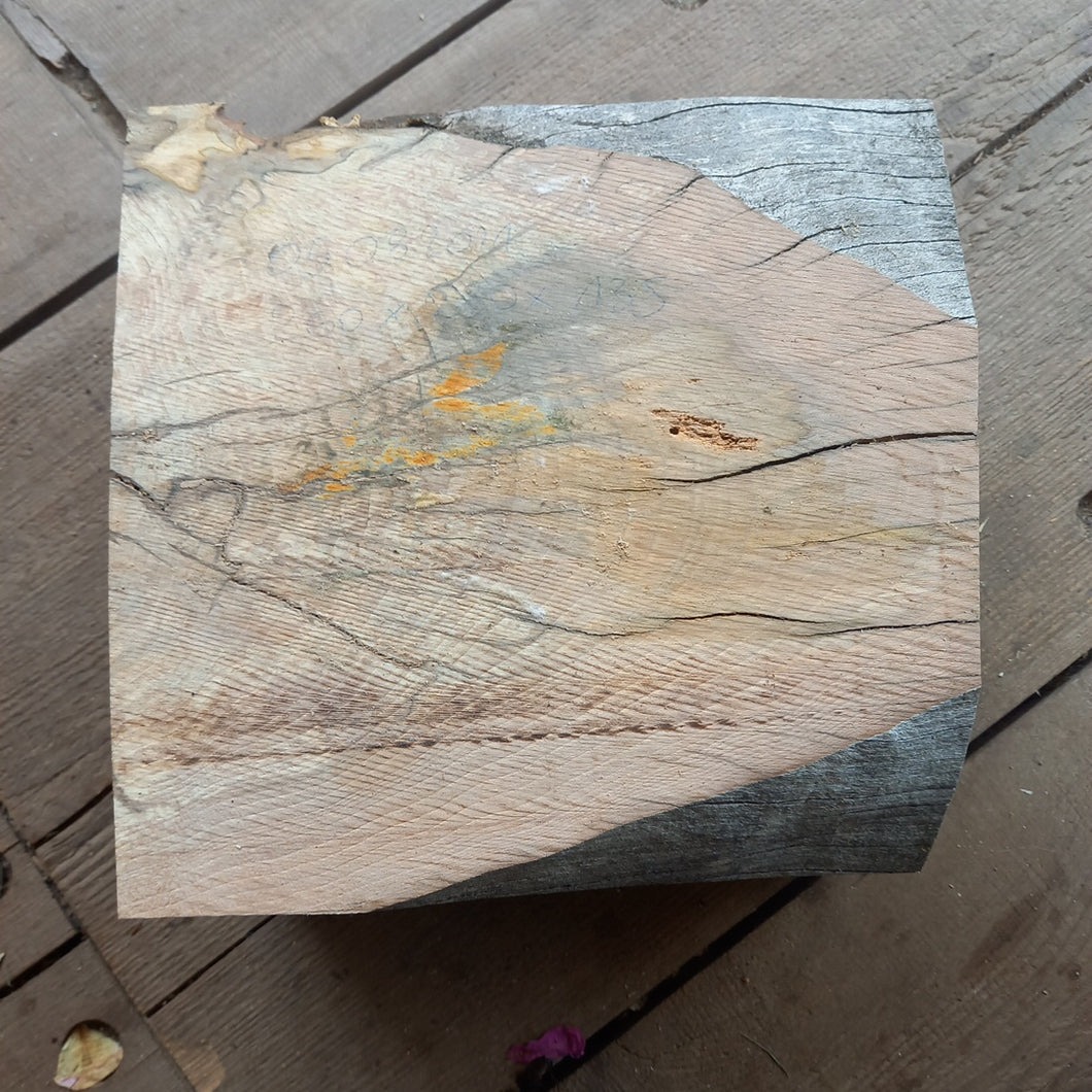 Gedämpfte Birke (roh/Holz) 260x250x135 mm, Holz zum Stabilisieren und Drechseln 05082021