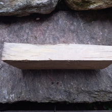 Lade das Bild in den Galerie-Viewer, Gedämpfte Birke (Stichsäge) 300x120x45 mm, Holz zum Stabilisieren und Drechseln 07082021
