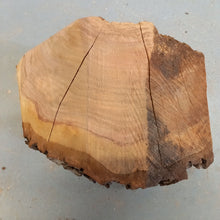 Lade das Bild in den Galerie-Viewer, Rohling, Pflaumenfi 210 mm, Drechselholz 15082021
