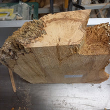 Lade das Bild in den Galerie-Viewer, Rohling, gespaltene Buche fi 255 mm, Drechselholz #00002
