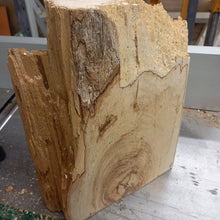 Lade das Bild in den Galerie-Viewer, Rohling, gespaltene Buche fi 225 mm, Drechselholz #00004
