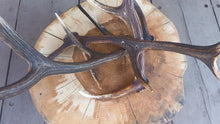 Load image into Gallery viewer, Hunting coffee table, ash, diameter 73/67cm
