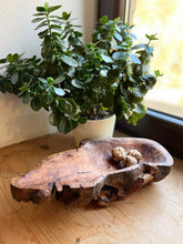 Lade das Bild in den Galerie-Viewer, Schale aus Holz geschnitzt, Kirschwurzel
